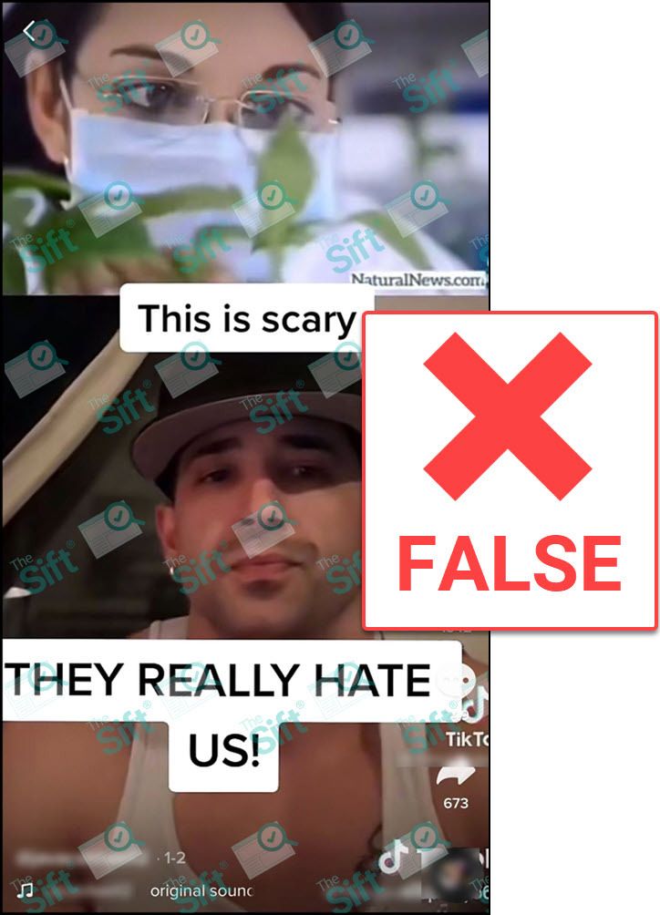 A screenshot of a TikTok “duet” style video that shows an image of someone who appears to be a scientist above a different image of a TikTok user. The text superimposed on the video says, “This is scary. They really hate us!” The News Literacy Project added a label that says, “FALSE.”