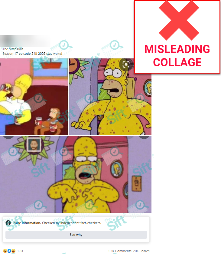 A Facebook post says, “The Simpsons Season 17 episode 21!! 2002 stay woke!” and includes three still images from the show. The first image shows Homer Simpson sitting on a couch drinking beer with a monkey. The other two images show Homer with a skin rash. The News Literacy Project has added a label that says, “MISLEADING COLLAGE.”